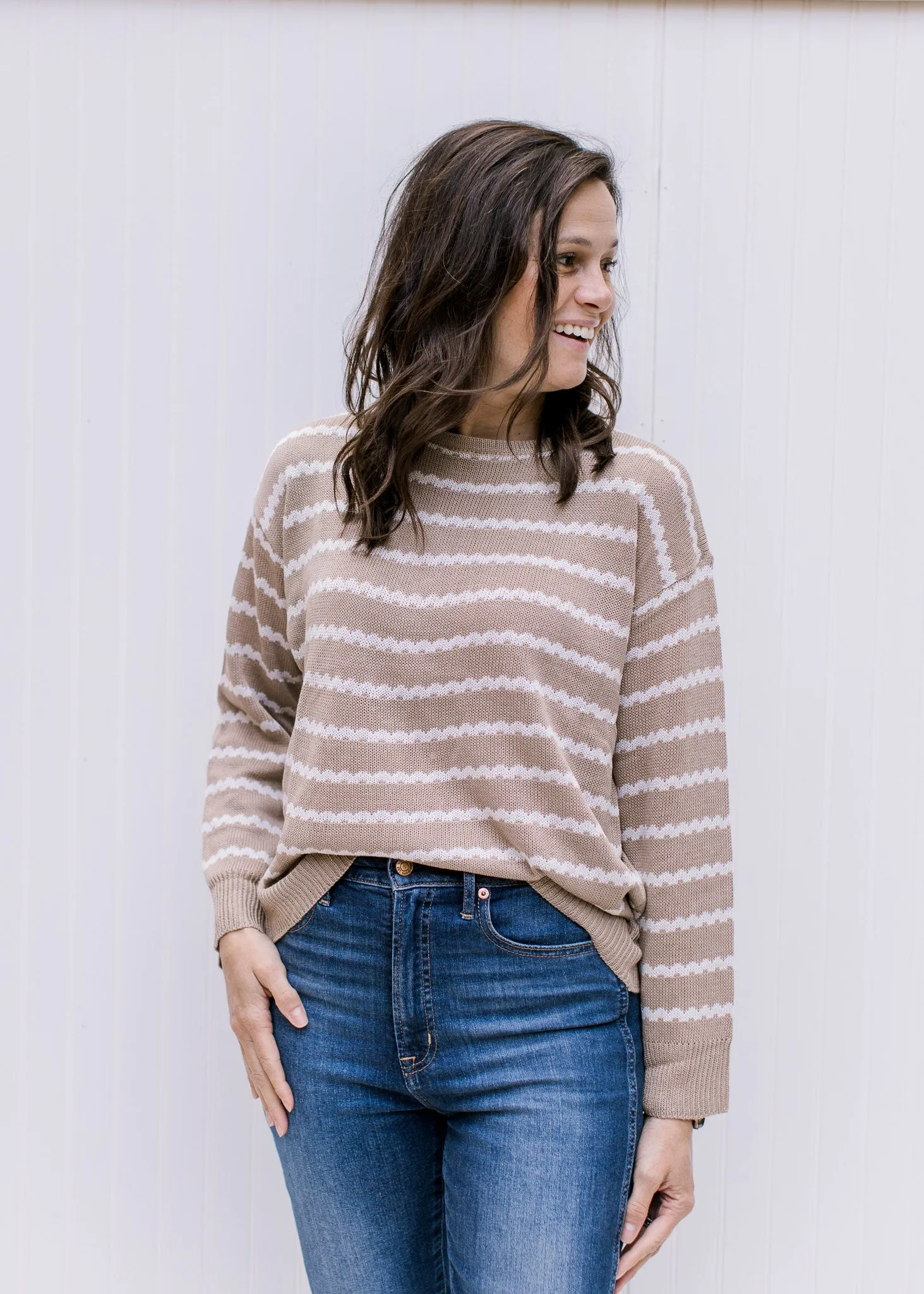 Taupe and Cream Zig Zag Sweater